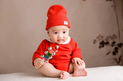 崇左19个月宝宝辅食